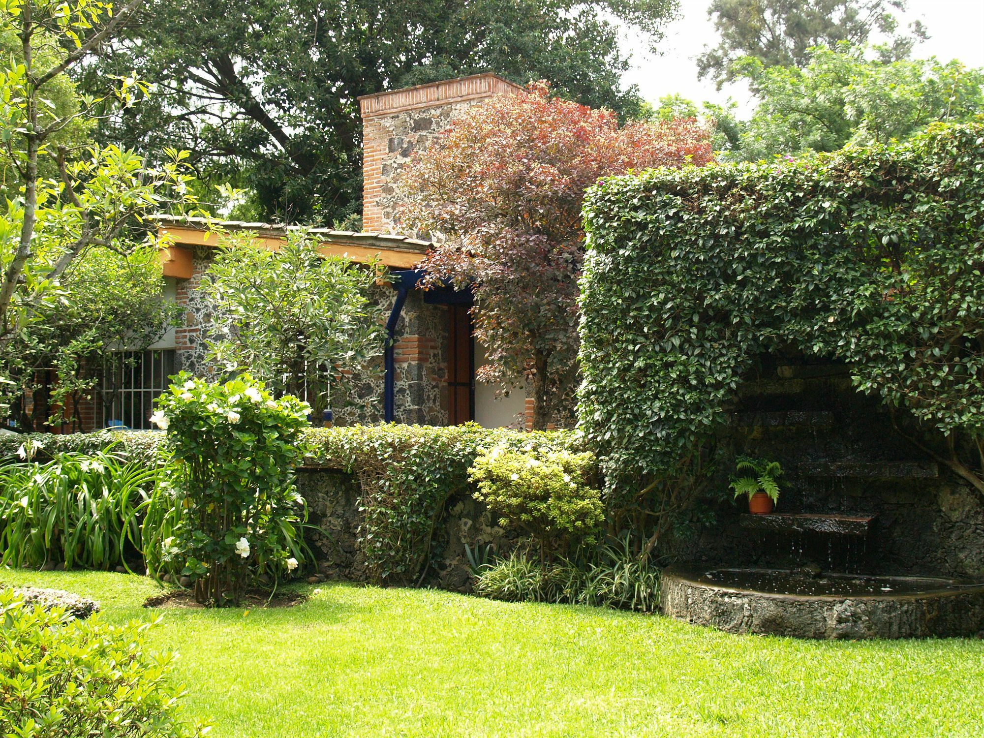 Hotel La Posada Del Valle (Adults Only) Tepoztlán Buitenkant foto